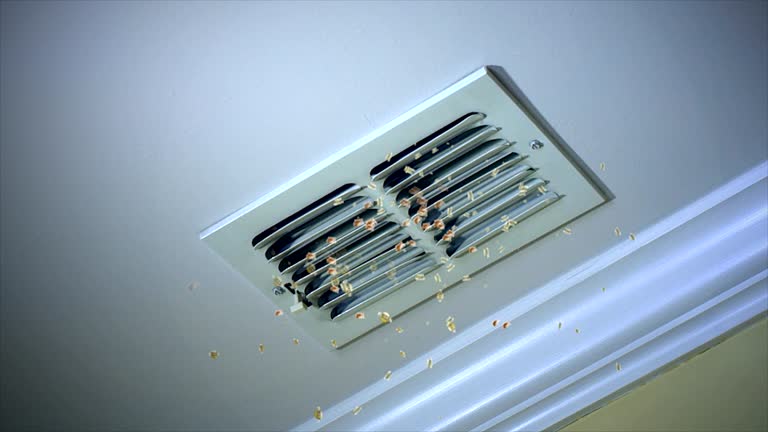 Best Dryer Vent Cleaning Services  in Providence, RI